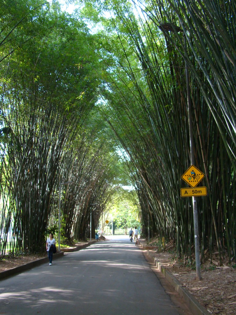 Parque do Ibirapuera