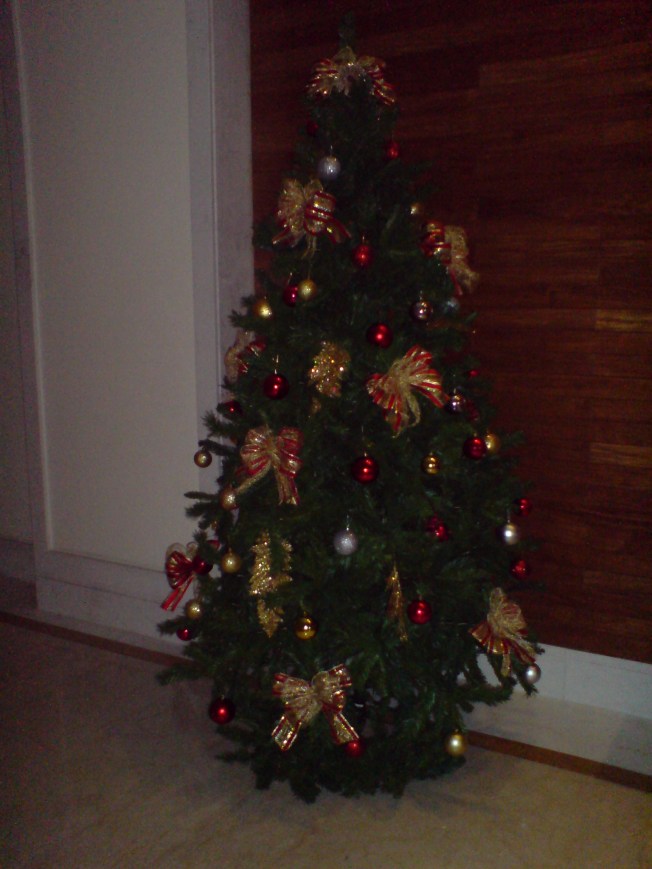 I ENTRÉN I VÅRT HUS